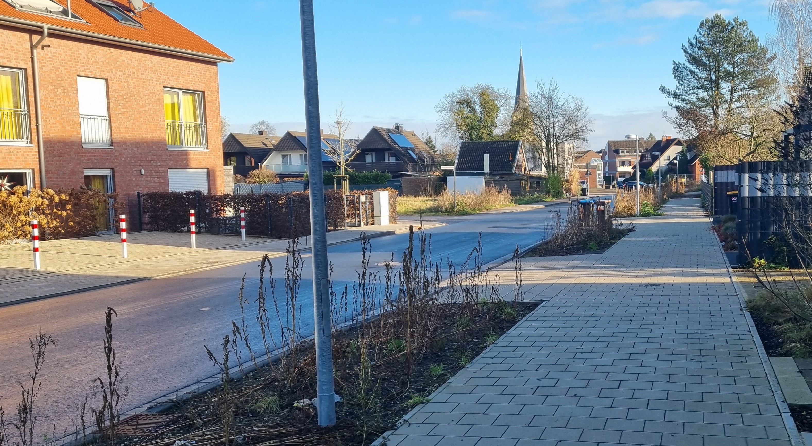 Neun Bume sollen im Januar auf dem Grnstreifen der Deermannstrae gepflanzt werden.